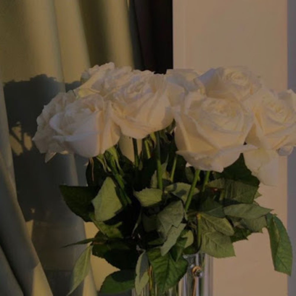 Meet your Posher, Elizabeth